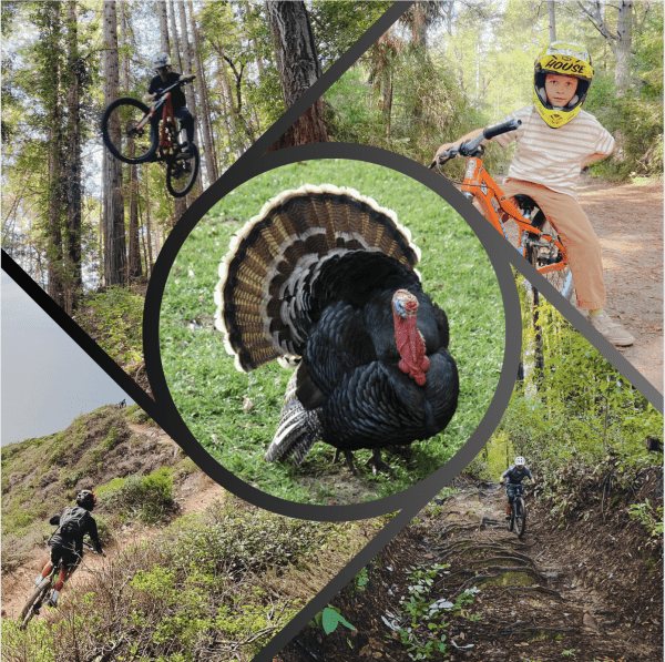 Thanksgiving Camp (Ages 10+)