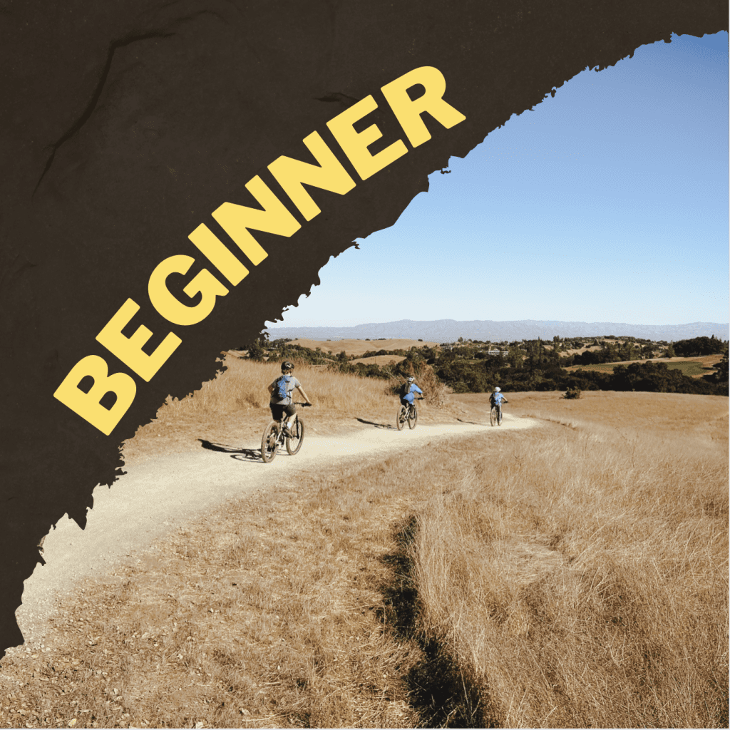 Beginner Ride (Ages 8+) Mountain Biking Experts MTBX