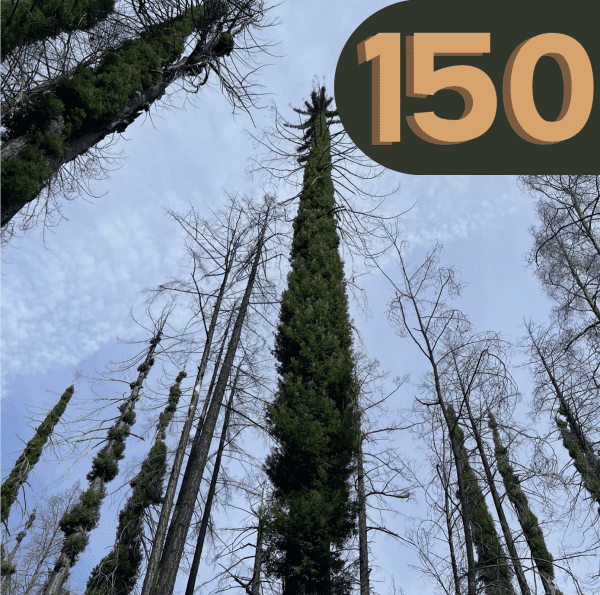 150