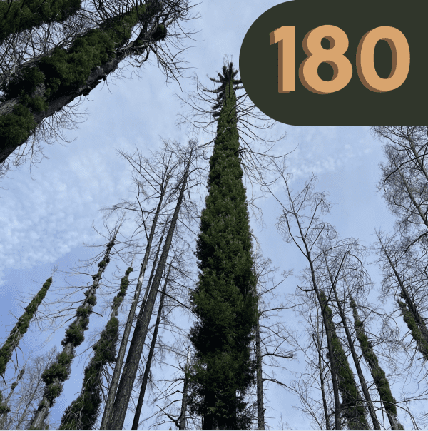 180